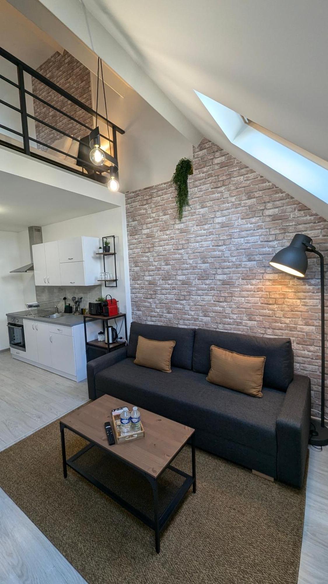 Apartment Le Loft Proche Aeroport Cdg I Paris I Asterix Dammartin-en-Goele